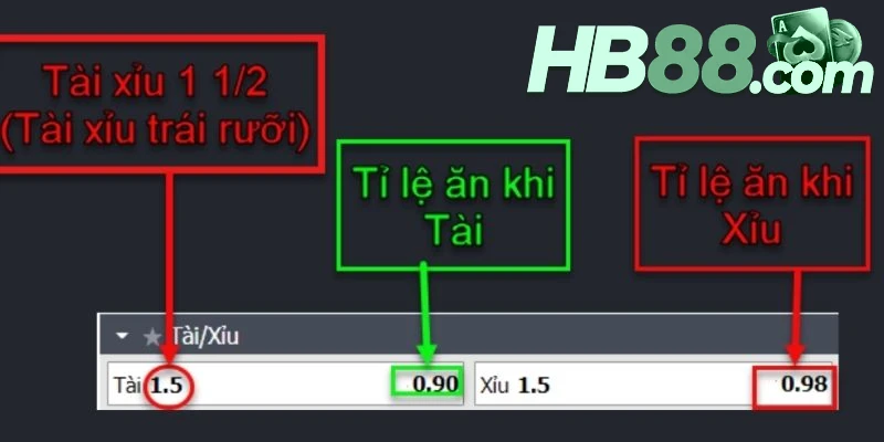 Cách đọc kèo Over - Under chuẩn xác