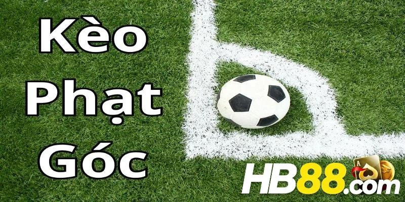 Cá cược phạt góc đang được nhiều bet thủ yêu thích