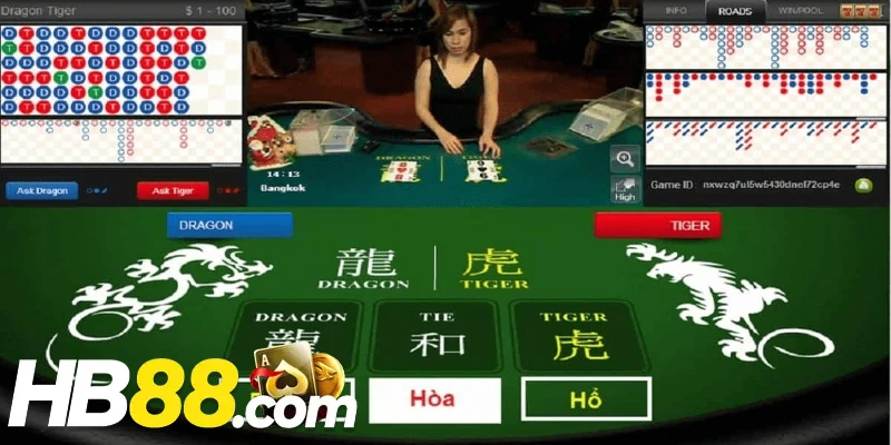 Thuật ngữ nên biết khi muốn chơi rồng hổ